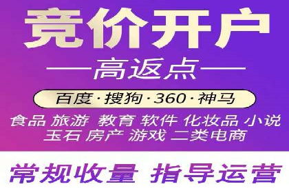 搜索引擎推广的佼佼者——百度搜索推广案例